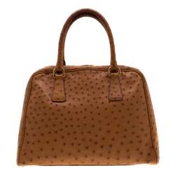 Pre Owned Prada Brown Ostrich Pyramid Frame Top Handle Bag