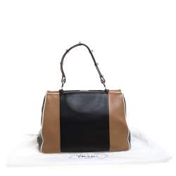 Pre Owned Prada Multicolor Baiadera Striped Leather Frame Tote