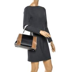 Pre Owned Prada Multicolor Baiadera Striped Leather Frame Tote