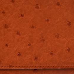 Pre Owned Prada Orange Ostrich Flap Continental Wallet