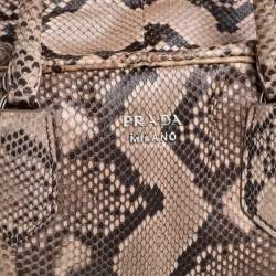 Prada Pesca/Tamari Python Medium Inside Bag