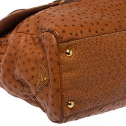 Pre Owned Prada Cognac Struzzo Ostrich Pushlock Flap Top Handle Bag