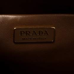 Pre Owned Prada Brown Ostrich Frame Shoulder Bag
