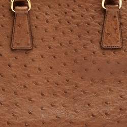 Pre Owned Prada Tabacco Ostrich Pyramid Frame Satchel 