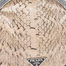 Pre Owned Prada Beige/Silver Python and Lizard Frame Clutch Bag