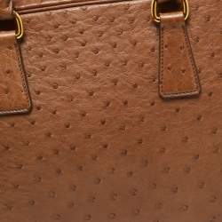 Pre Owned Prada Brown Ostrich Pyramid Frame Satchel