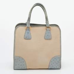 Pre Owned Prada Blue/Beige Ostrich and Canvas Tote