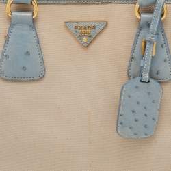 Pre Owned Prada Blue/Beige Ostrich and Canvas Tote