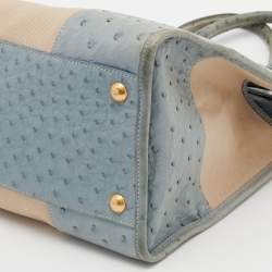 Pre Owned Prada Blue/Beige Ostrich and Canvas Tote