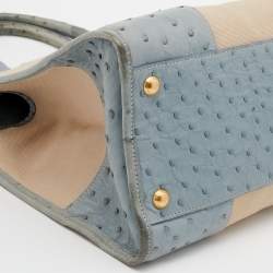 Pre Owned Prada Blue/Beige Ostrich and Canvas Tote