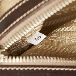Prada Brown/Beige  Canapa Logo Frame Handbag