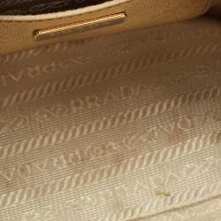 Pre Owned Prada Metallic Gold Leather Mini Promenade Satchel