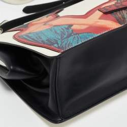 Prada Multicolor Saffiano Leather Patched Frame Crossbody Bag