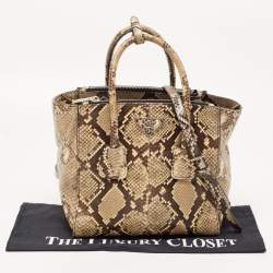 Prada Beige Python Small Double Pocket Tote