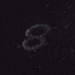 Pre Owned Prada Black Brushed Leather Chelsea Ankle Length Boots Size 41