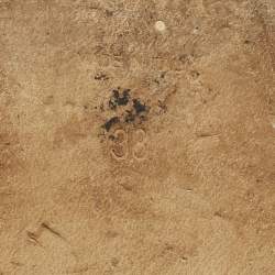 مملوكة مسبقًا Prada Size 38 White Leather Triangle Logo Detai Flat Sandals