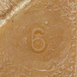 مملوكة مسبقًا Ralph Lauren Collection Size 36.5 Yellow Canvas Wedge Sandals