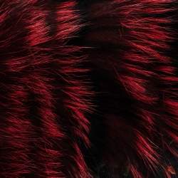 Pre Owned شال روبرتو  كافالي كشمير نمط مورد مطبوع أسود مبطن فرو