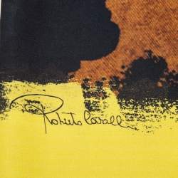 Roberto Cavalli Multicolor Camouflage Print Silk Shawl 