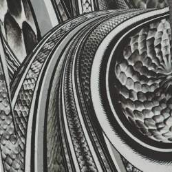 Pre Owned Roberto Cavalli Black Printed Silk Scarf