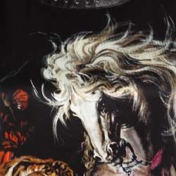 مملوكة مسبقًا بلوزة روبرتو كافالي حرير نقشة الفهد أسود حواف جلدية M