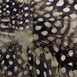 Pre Owned Roberto Cavalli Multicolor Animal Print Silk Godet Maxi Skirt M