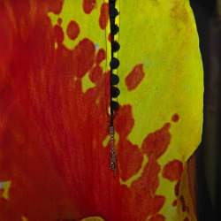 مملوكة مسبقًا قفطان روبرتو كافالي حرير أسود مورد مقاس كبير (لارج)