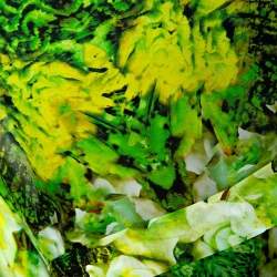 Pre Owned توب قفطان روبرتو كافالي حزام حرير طباعة تجريدية أخضر M