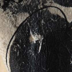 Pre Owned Roberto Cavalli Cream Floral Print Leather Fur Lined Coat L