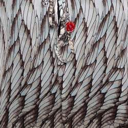 Pre Owned Roberto Cavalli Multicolor Feather Printed Silk Gypsy Blouse L