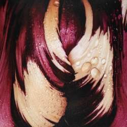 Pre Owned فستان ضيق روبرتو كافالي جيرسيه منقوش متعدد الألوان متدرج مقاس متوسط