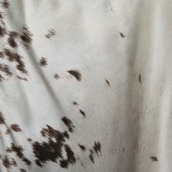 Pre Owned Roberto Cavalli Brown Printed Silk Satin Drawstring Hem Trousers M