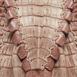 Pre Owned Roberto Cavalli Light Pink Suede and Crocodile Fringe Crossbody Bag