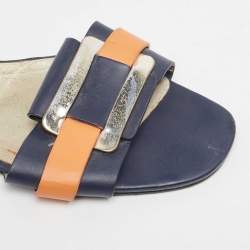 Pre Owned Roger Vivier Multicolor Leather Vivier Flat Slides Size 39