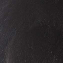 مملوكة مسبقًا Saint Laurent Paris Edition Soir Black Fox Fur Bolero M 