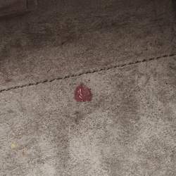 Pre Owned Saint Laurent Classic Sac De Jour Baby Grey Leather Tote