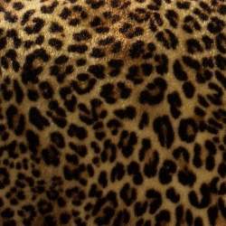 Pre Owned Saint Laurent Beige/Brown Leopard Print Velvet Wallet on Chain