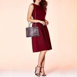 Pre Owned Saint Laurent Pink/Brown Python Leather Baby Classic Sac De Jour Tote