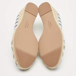 Pre Owned حذاء كعب عالي سالفاتوري فيراغامو قماش مخطط أزرق / أبيض إسبرادريل أودري مقاس 40