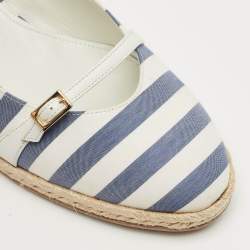 Pre Owned حذاء كعب عالي سالفاتوري فيراغامو قماش مخطط أزرق / أبيض إسبرادريل أودري مقاس 40