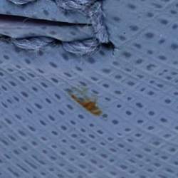 Pre Owned Salvatore Ferragamo Blue Saffiano Leather Gancini Shoulder Bag