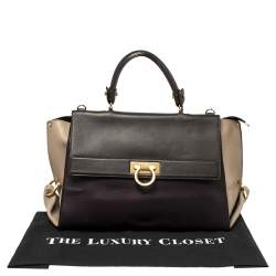Salvatore Ferragamo Multicolor Leather Large Sofia Top Handle Bag