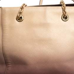 Pre Owned Salvatore Ferragamo Ombre Pink Leather Vany Tote