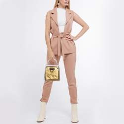 Pre Owned Salvatore Ferragamo Transparent Plexiglas Gancini Top Handle Bag