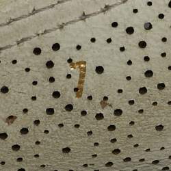 Pre Owned Salvatore Ferragamo Light Blue Laser Cut Leather Varina Ballet Flats Size 37.5