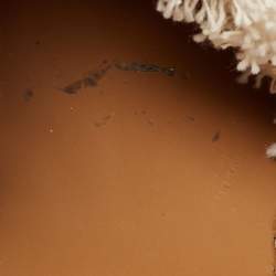 مملوكة مسبقًا See by Chloe Tan/White Leather And Canvas Glyn Wedge Espadrille Ankle Strap Sandals Size 40