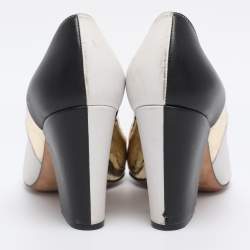 Pre Owned Sergio Rossi Multicolor Leather and Python Pumps Size 36.5