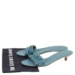 Sergio Rossi Blue Python Embossed Leather Buckle Detail Slide Sandals Size 38.5