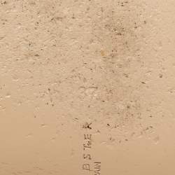 Pre Owned Sophia Webster Multicolor Leather and PVC Havanna Slide Sandals Size 37