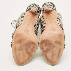 Pre Owned صندل سوفيا وبستر غلادياتور جلد مونوكرومي بسيور بحزام للكاحل مقاس 38